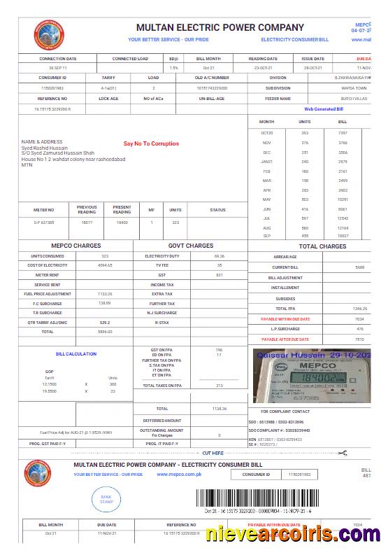 PAKISTAN MULTAN ELECTRIC POWER utility bill